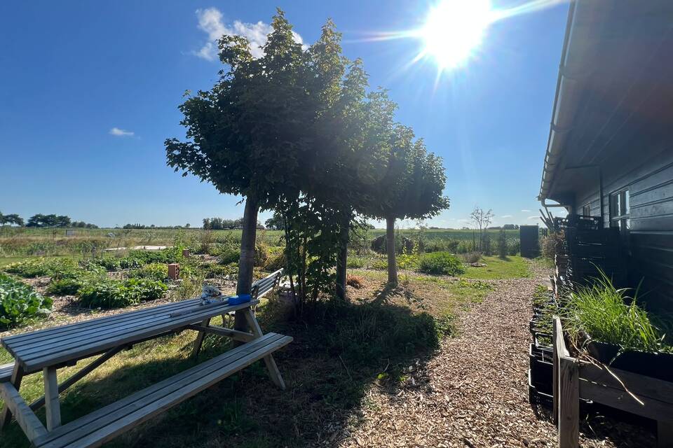 Vanochtend met Haye op de dorpstuin ‧ 08-08-2026