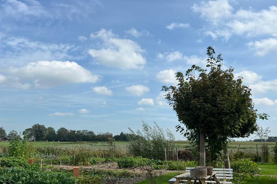 Gisterenmiddag met Haye op de dorpstuin ‧ 15-09-2026