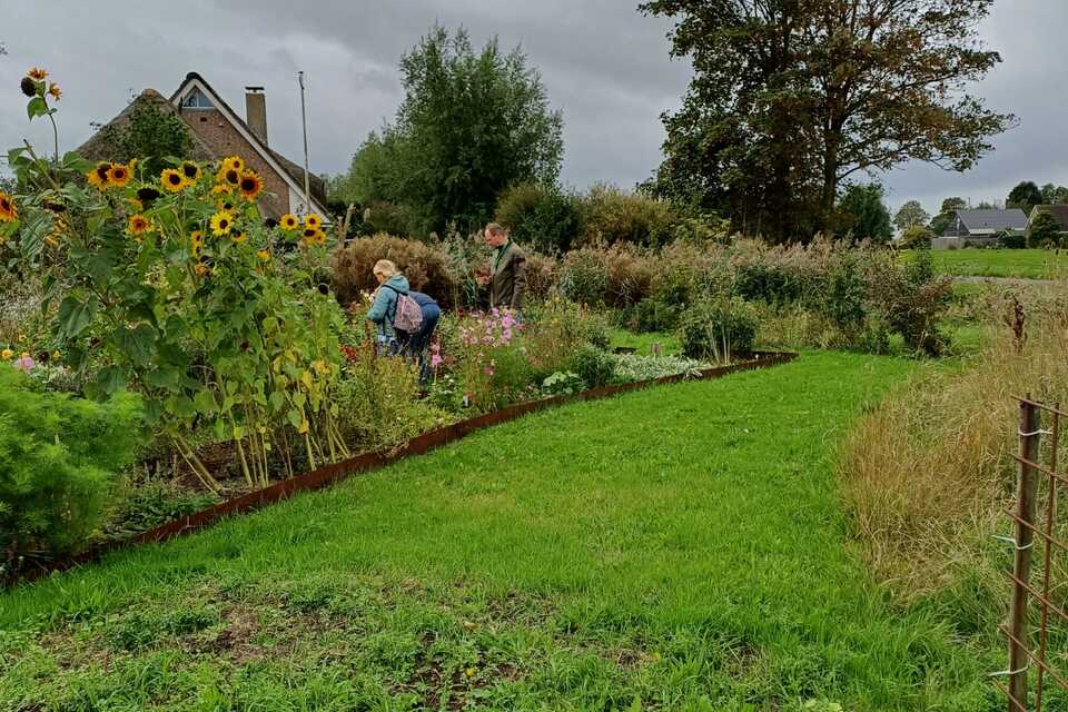 Vanmiddag met Nicky op de dorpstuin ‧ 17-09-2026