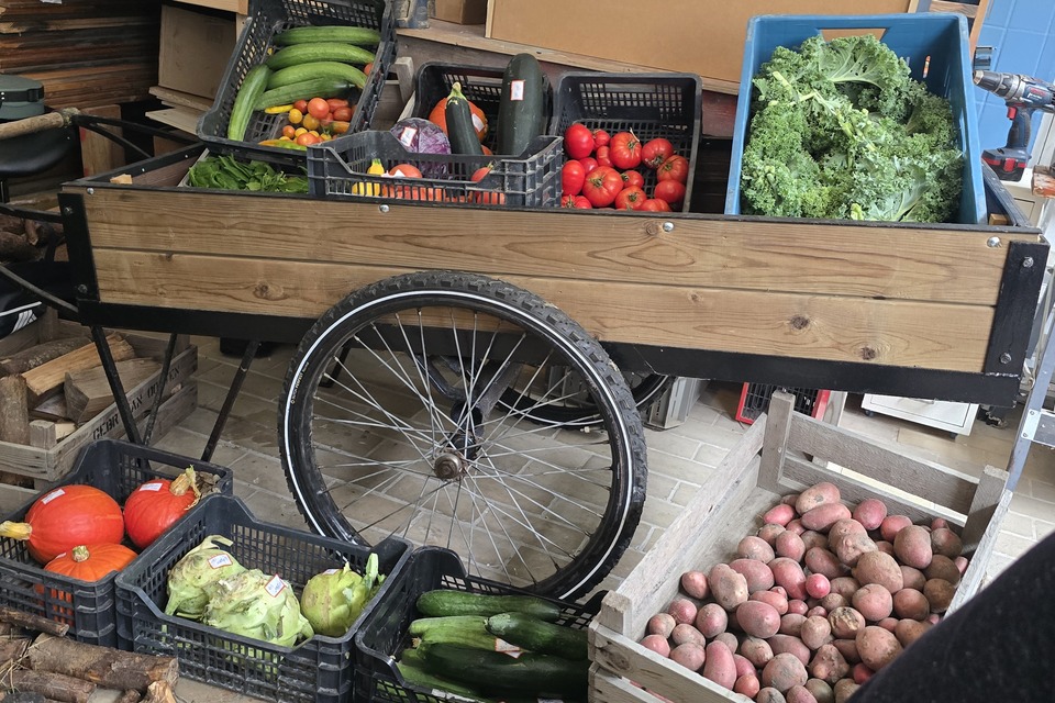 Dorpstuin Hallum was aanwezig op de Oogstmarkt van de Groeifabriek in Marrum op 19-09-2026