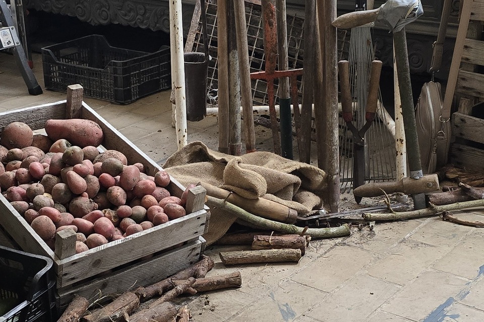 Dorpstuin Hallum was aanwezig op de Oogstmarkt van de Groeifabriek in Marrum op 19-09-2026