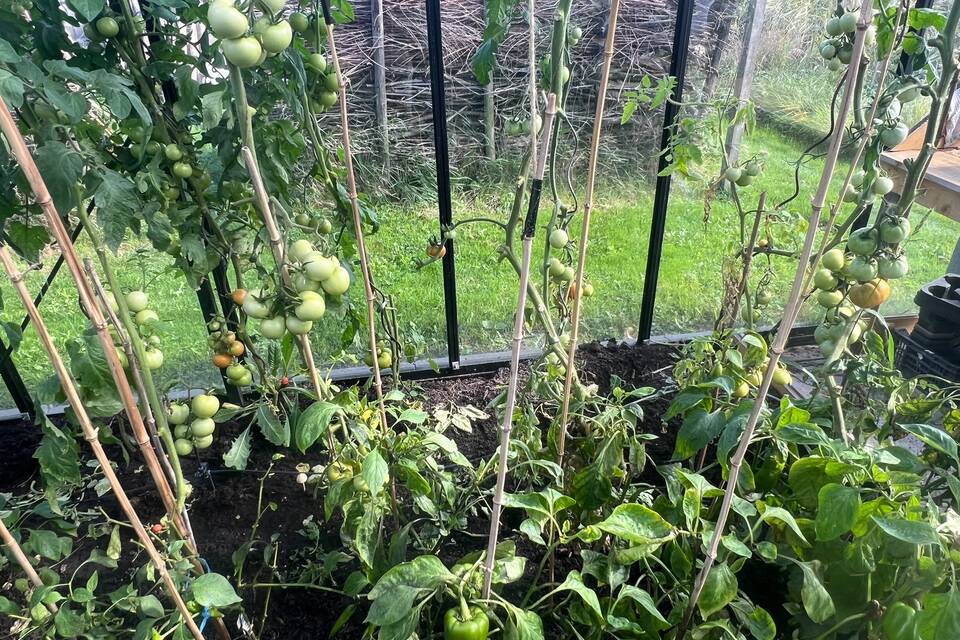 Vanochtend met Haye op de dorpstuin ‧ 05-09-2026