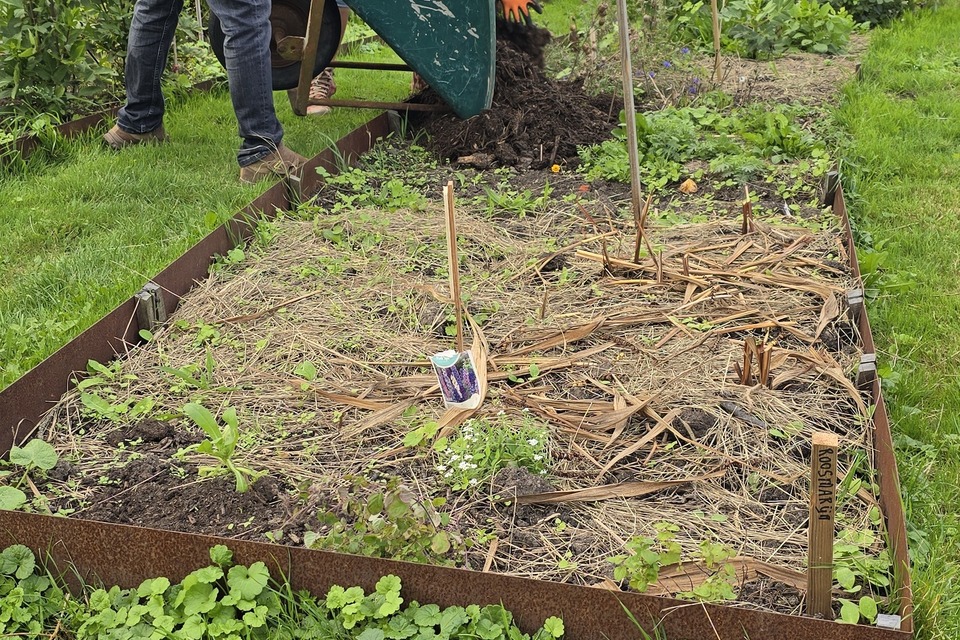 Vanochtend met Dimitri op de dorpstuin ‧ 05-09-2026
