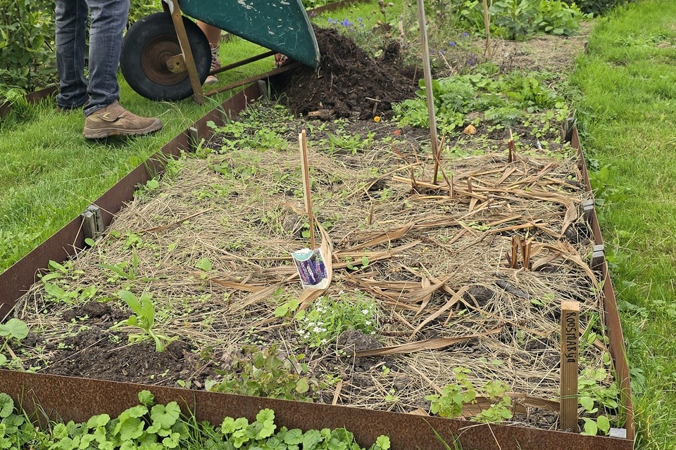 Vanochtend met Dimitri op de dorpstuin ‧ 05-09-2026